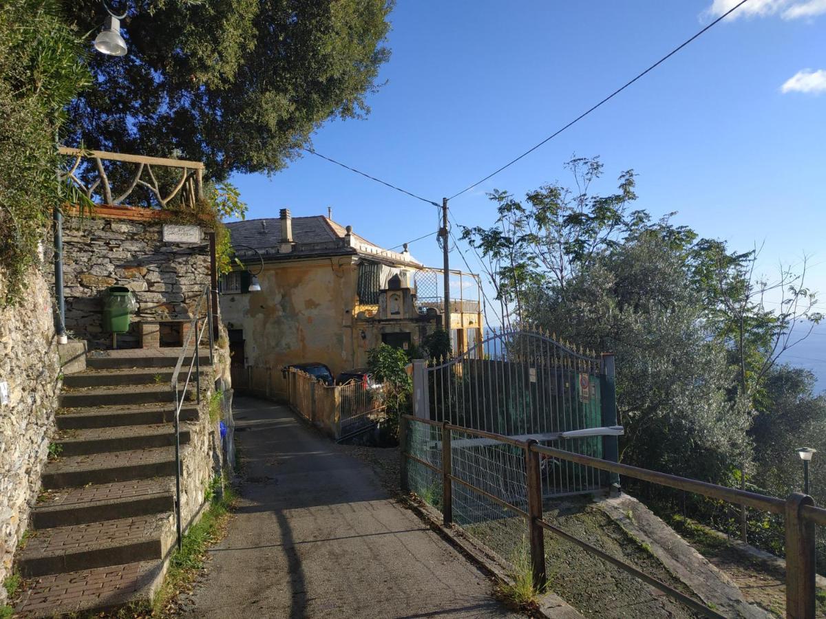 Appartamento CasaViva - Ampio Trilocale vista mare con piscina - Pieve Alta Pieve Ligure Esterno foto